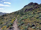 photo thumbnail #3