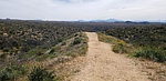 photo thumbnail #1