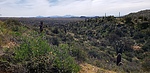 photo thumbnail #4