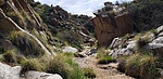 photo thumbnail #5