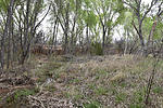 photo thumbnail #1