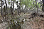 photo thumbnail #2