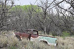 photo thumbnail #6