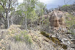 photo thumbnail #9