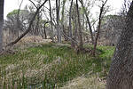 photo thumbnail #12