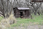 photo thumbnail #14