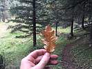 photo thumbnail #12