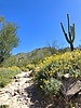 photo thumbnail #1