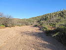 photo thumbnail #1