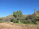 photo thumbnail #4