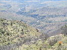 photo thumbnail #14
