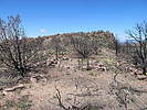 photo thumbnail #15