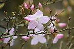 photo thumbnail #15