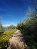 photo thumbnail #4