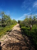 photo thumbnail #6