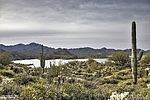 photo thumbnail #9