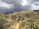 photo thumbnail #3