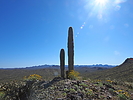 photo thumbnail #13