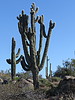 photo thumbnail #8