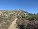 photo thumbnail #11