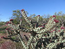 photo thumbnail #13