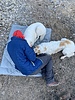 photo thumbnail #10