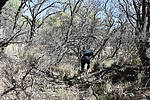 photo thumbnail #1