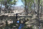 photo thumbnail #2