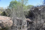 photo thumbnail #7