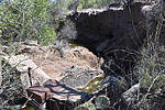 photo thumbnail #8