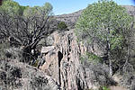photo thumbnail #10