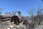 photo thumbnail #13