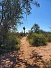 photo thumbnail #7