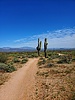 photo thumbnail #9
