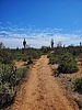 photo thumbnail #10
