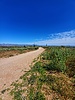 photo thumbnail #12