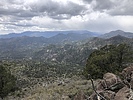 photo thumbnail #8
