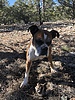 photo thumbnail #1