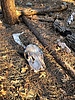 photo thumbnail #7