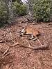 photo thumbnail #4