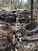 photo thumbnail #7