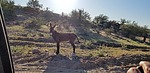 photo thumbnail #2