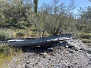 photo thumbnail #5