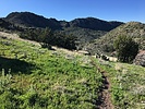 photo thumbnail #1