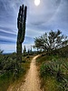 photo thumbnail #7
