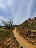 photo thumbnail #8