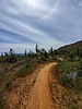 photo thumbnail #9