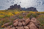 photo thumbnail #10