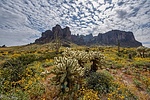 photo thumbnail #14