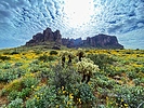 photo thumbnail #12